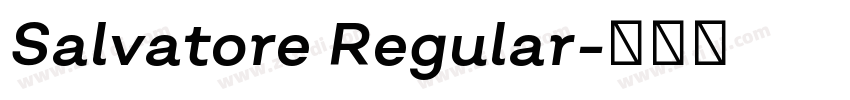Salvatore Regular字体转换